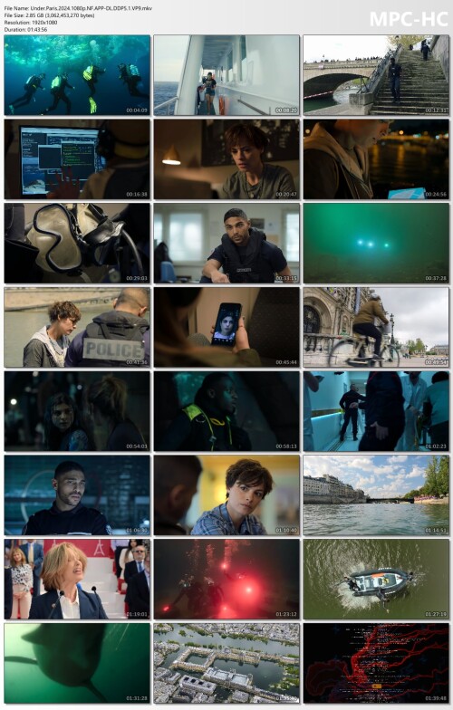 Under.Paris.2024.1080p.NF.APP-DL.DDP5.1.VP9.mkv_thumbs.jpg