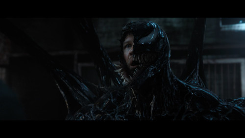 Venom.The.Last.Dance.2024.1080p.NF.WEB-DL.DDP5.1.H264Argon-.mkv_snapshot_00.11.05.326.jpg