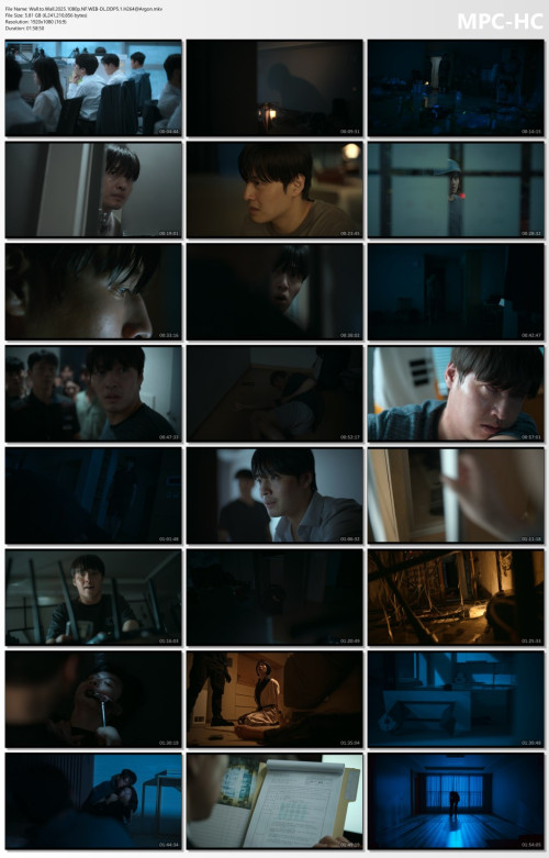 Wall.to.Wall.2025.1080p.NF.WEB-DL.DDP5.1.H264Argon.mkv_thumbs.jpg