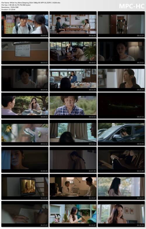 While.You.Were.Sleeping.2024.1080p.NF.APP-DL.DDP5.1.H264.mkv_thumbs.jpg