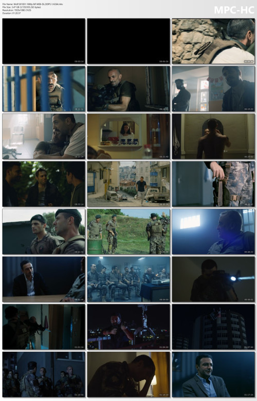 Wolf.S01E01.1080p.NF.WEB-DL.DDP5.1.H264.mkv_thumbs.jpg