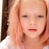 [Image: c-98.avi.0000.th.jpg]