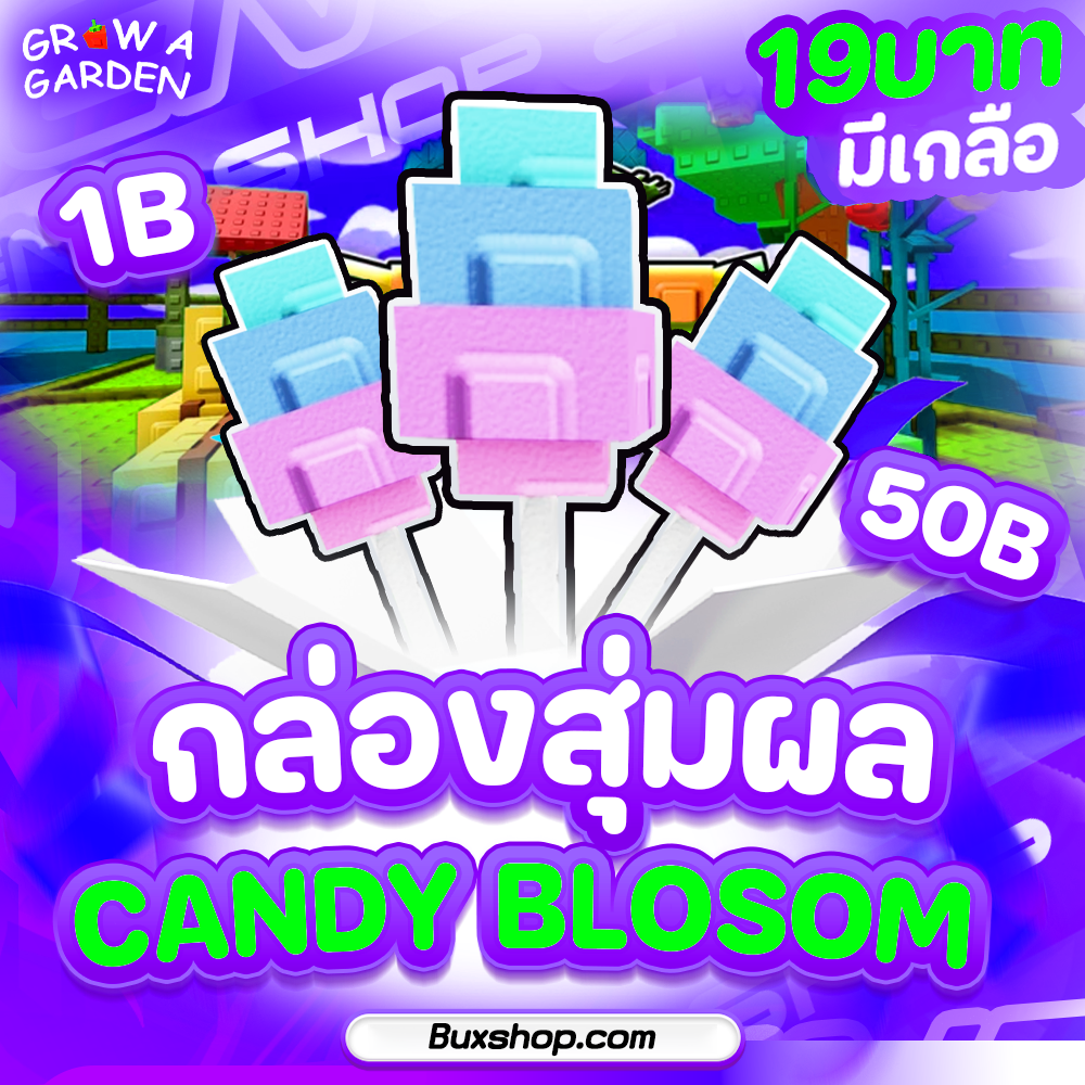 กล่องสุ่ม Candy Blossom