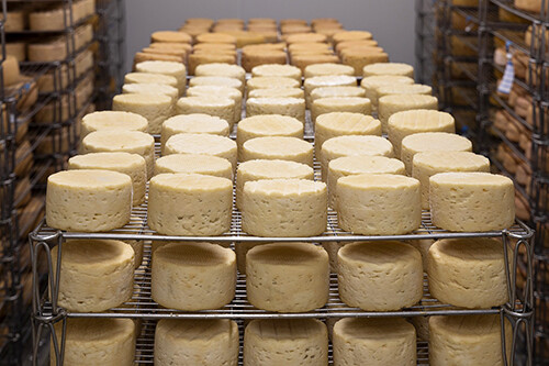 cheese 5125021 1280