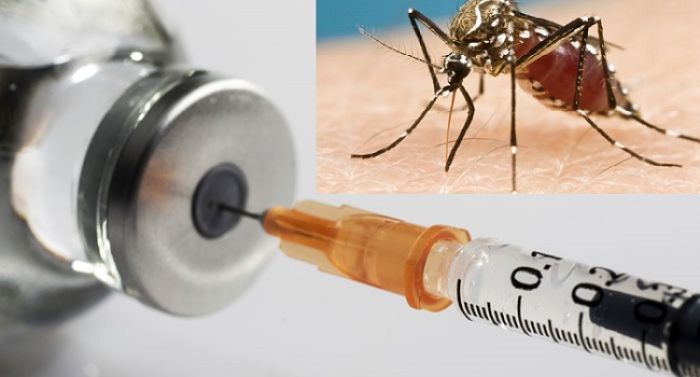 Dengue vaccination