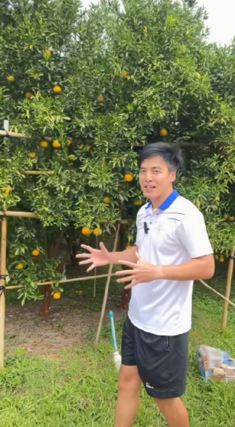 gal 9751650 20250305114108 c7733e5