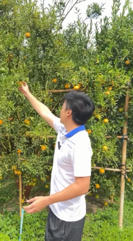 gal 9751650 20250305114108 ec2411c