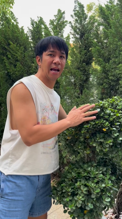 gal 9784714 20250503094927 d33f364