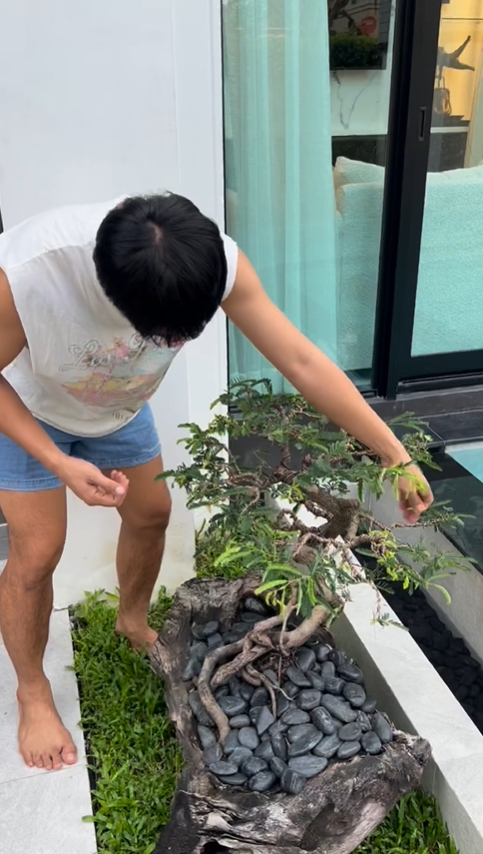 gal 9784714 20250503094929 eedf36a