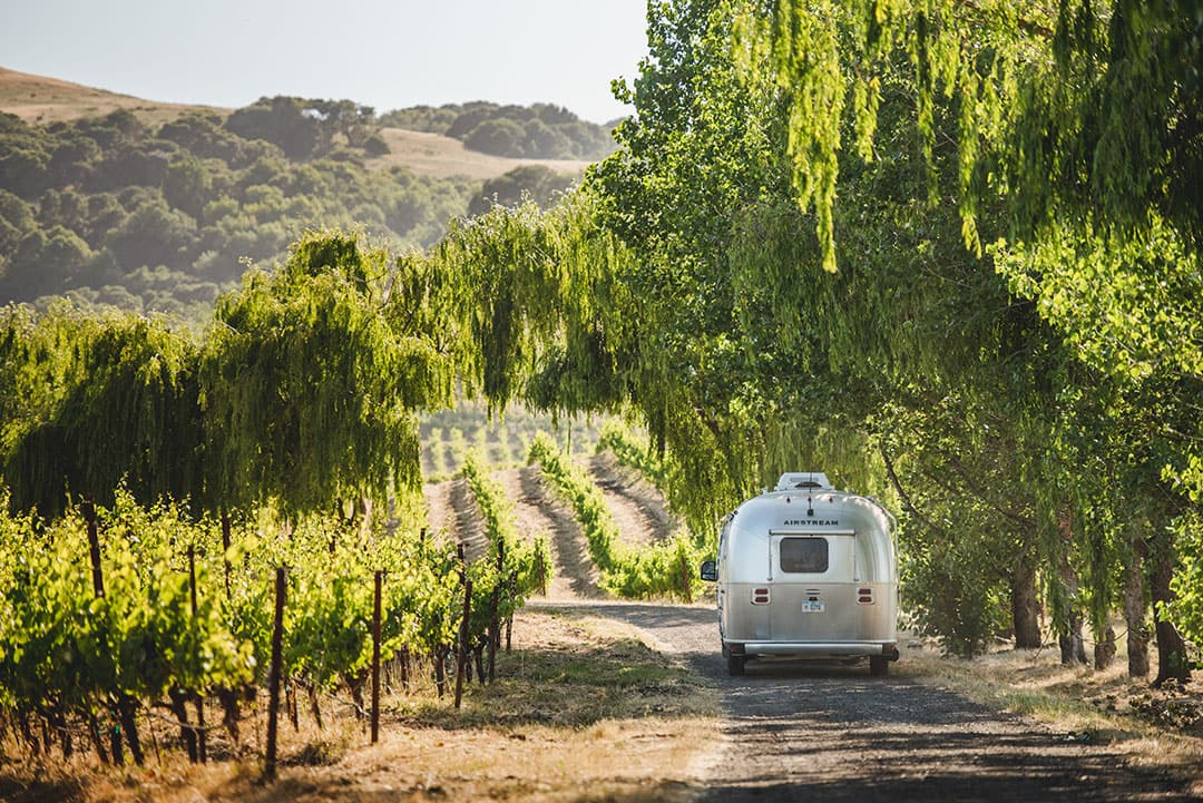Sonoma Valley