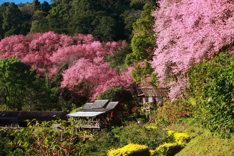 ที่พักปาย