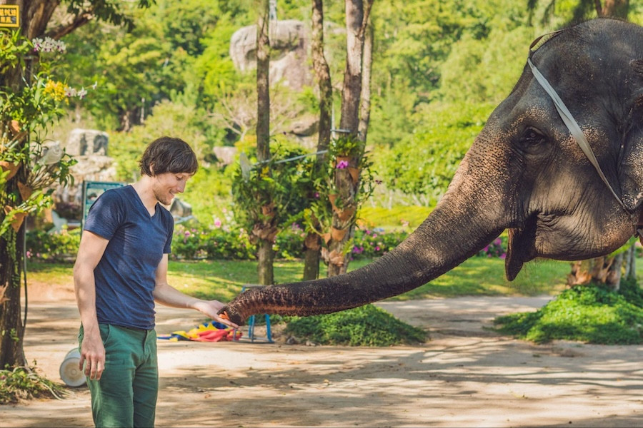 Ethical Elephant Sanctuary Pattaya 2025