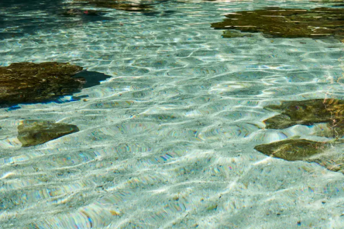 จองตั๋วเครื่องบินไปสุราษ