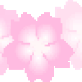 lin_sakura4
