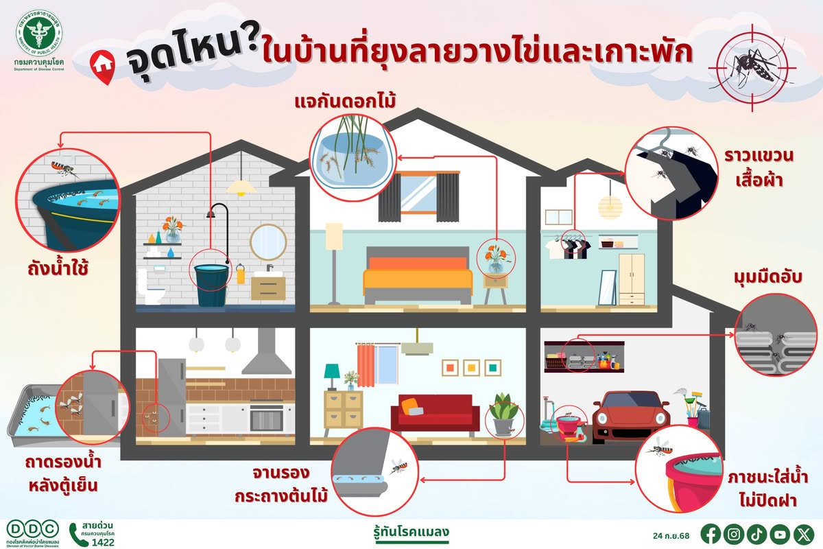 จุดไหนในบ้านที่ยุงวางไข่และเกาะพักมากที่สุด