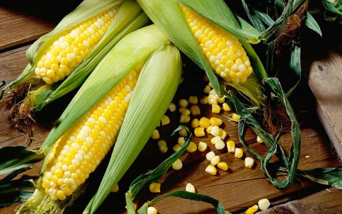 original 1704702894691