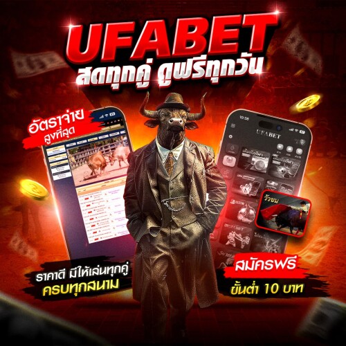 photo ๒๐๒๕ ๐๙ ๑๑ ๑๒ ๓๙ ๒๙ (2)