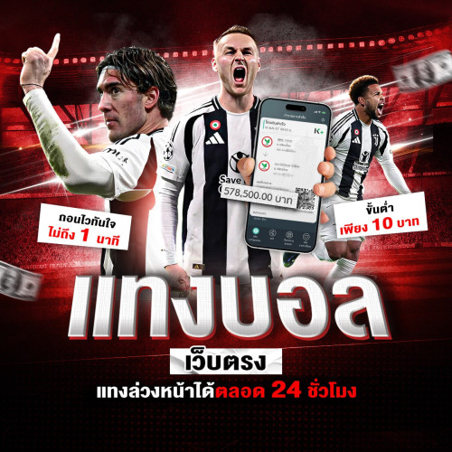 photo ๒๐๒๔ ๑๒ ๒๔ ๑๖ ๐๕ ๒๗ (4)