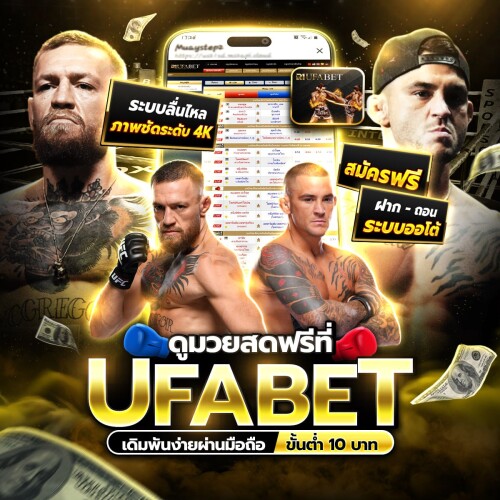 photo ๒๐๒๕ ๑๑ ๑๐ ๑๓ ๐๘ ๑๑