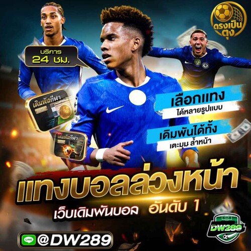 photo ๒๐๒๕ ๑๑ ๐๒ ๑๕ ๒๒ ๑๖