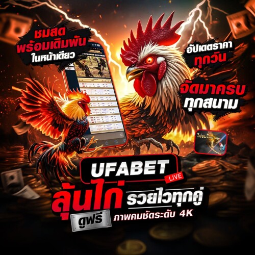 photo ๒๐๒๕ ๐๘ ๑๑ ๑๑ ๔๐ ๔๓