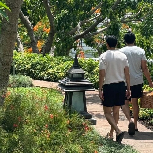 pranaip 1719834406 3402540070031079016 22914789