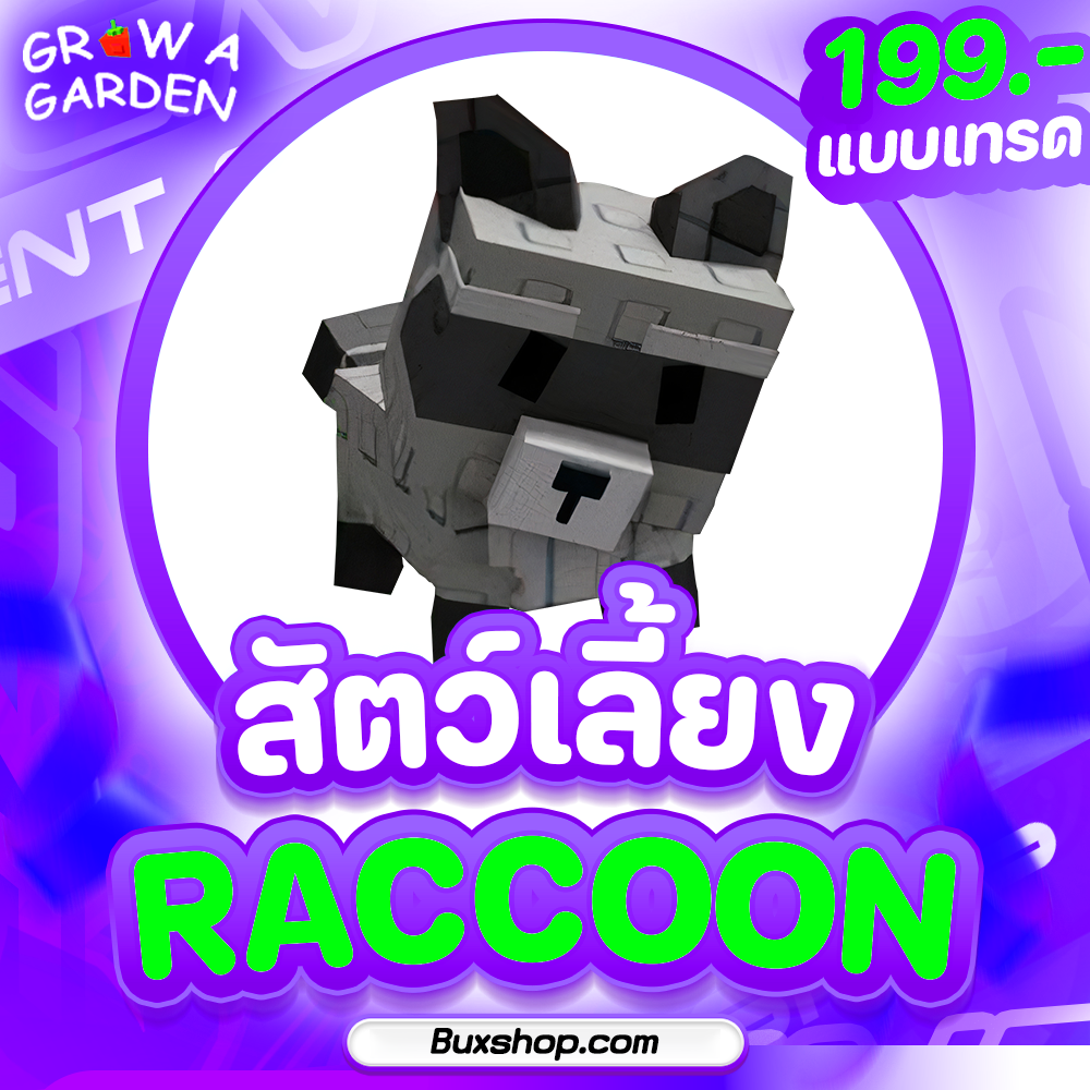 Raccoon (แรคคูน)