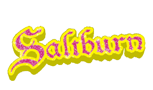 saltburn_logo_v2.gif