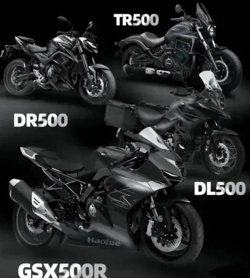 suzuki 500 015